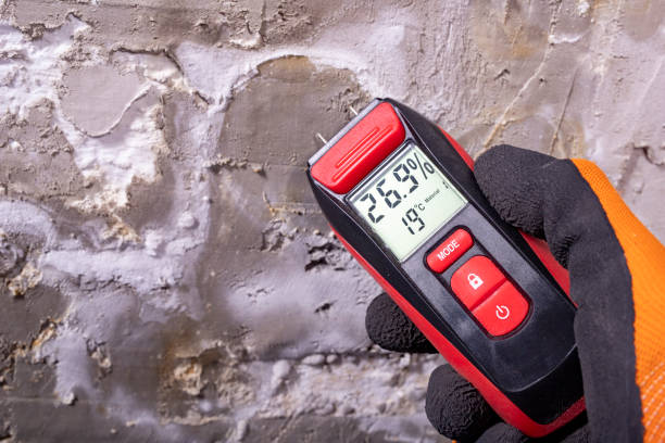 Best Mold Removal Near Me  in Woburn, MA